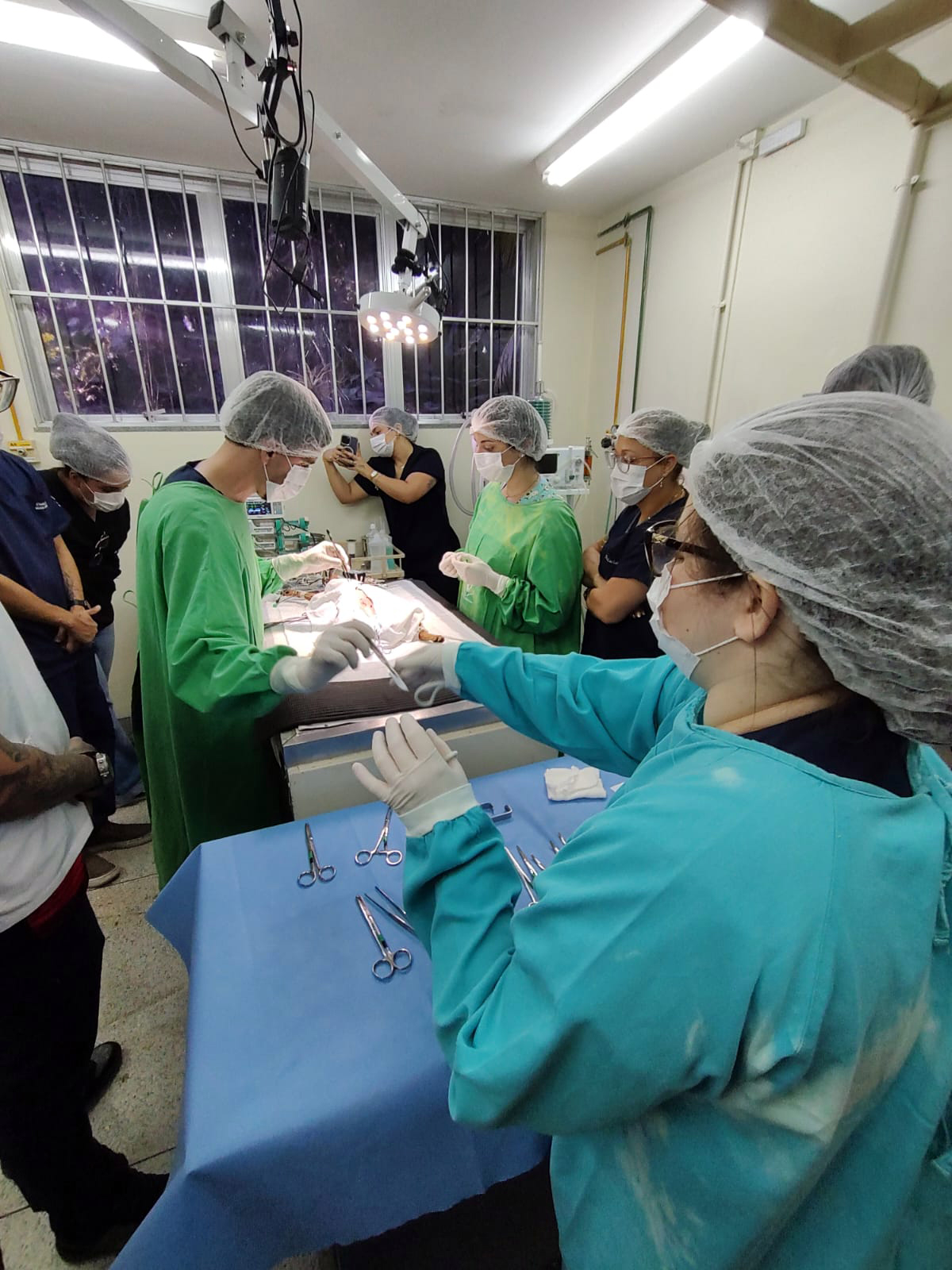 Clínica de Pequenos Animais