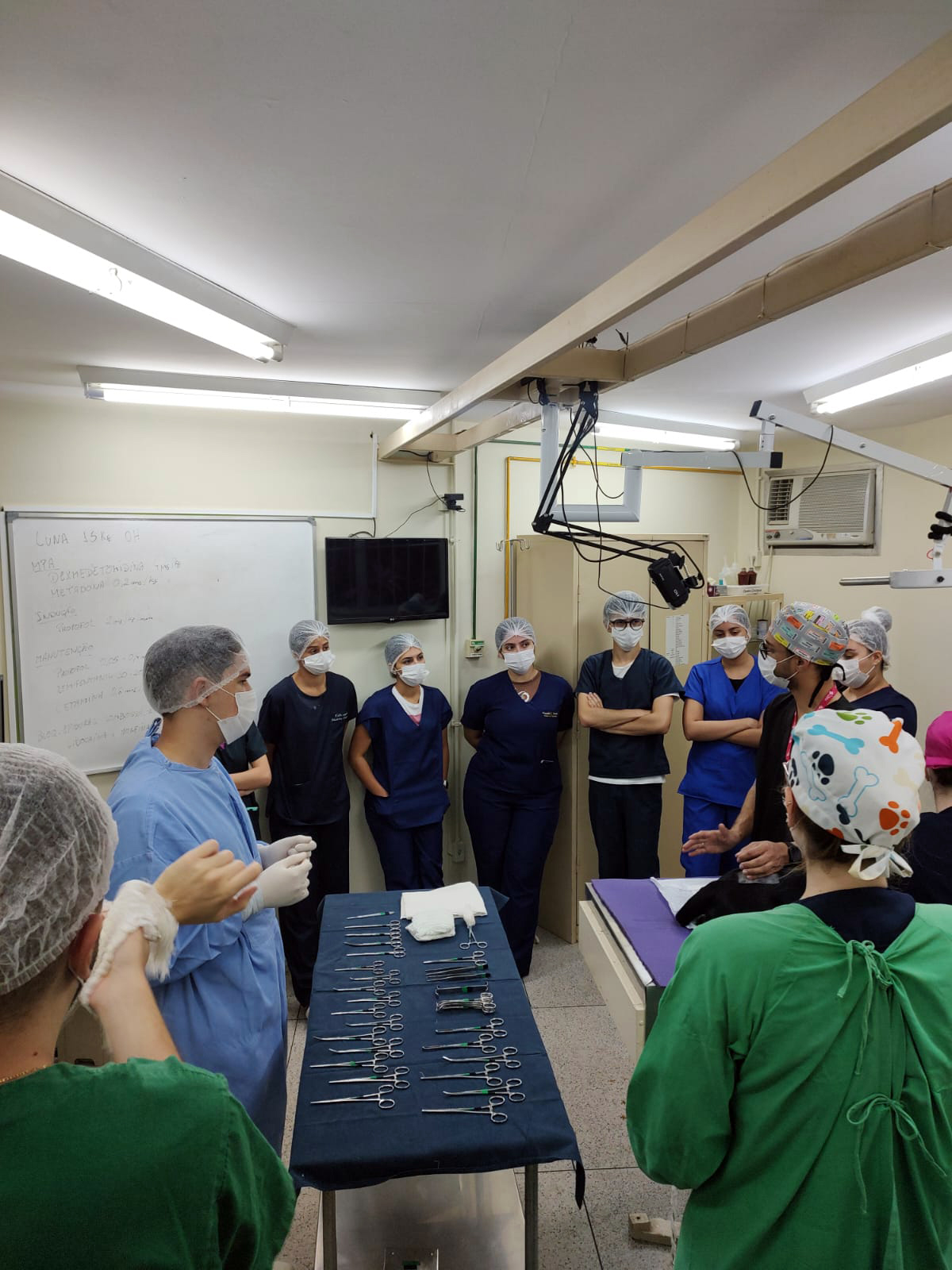 Clínica de Pequenos Animais